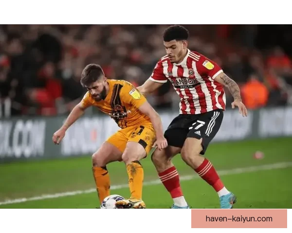 赫尔城黑橙虎本赛季主场表现稳健，竞争力持续提升